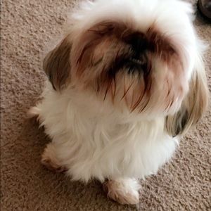 Meet your Posher, Leti